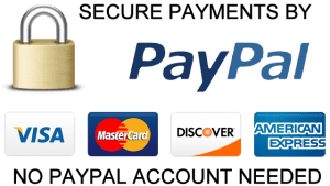 secure_payment_by_paypal